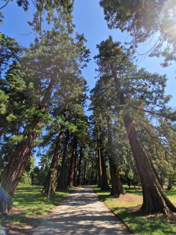 countryside away retreat | friday 29 sunday 31 august | with gen kelsang zoma | at nagarjuna kadampa meditation centre, northamptonshire (copy)